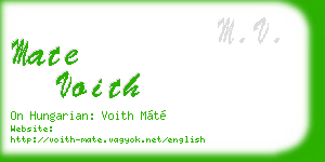 mate voith business card