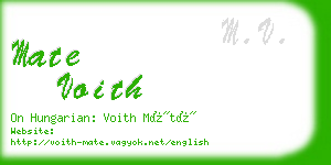 mate voith business card